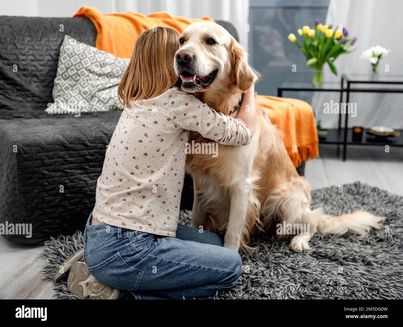 Preteen girl child with golden retriever dog Stock Photo - Alamy