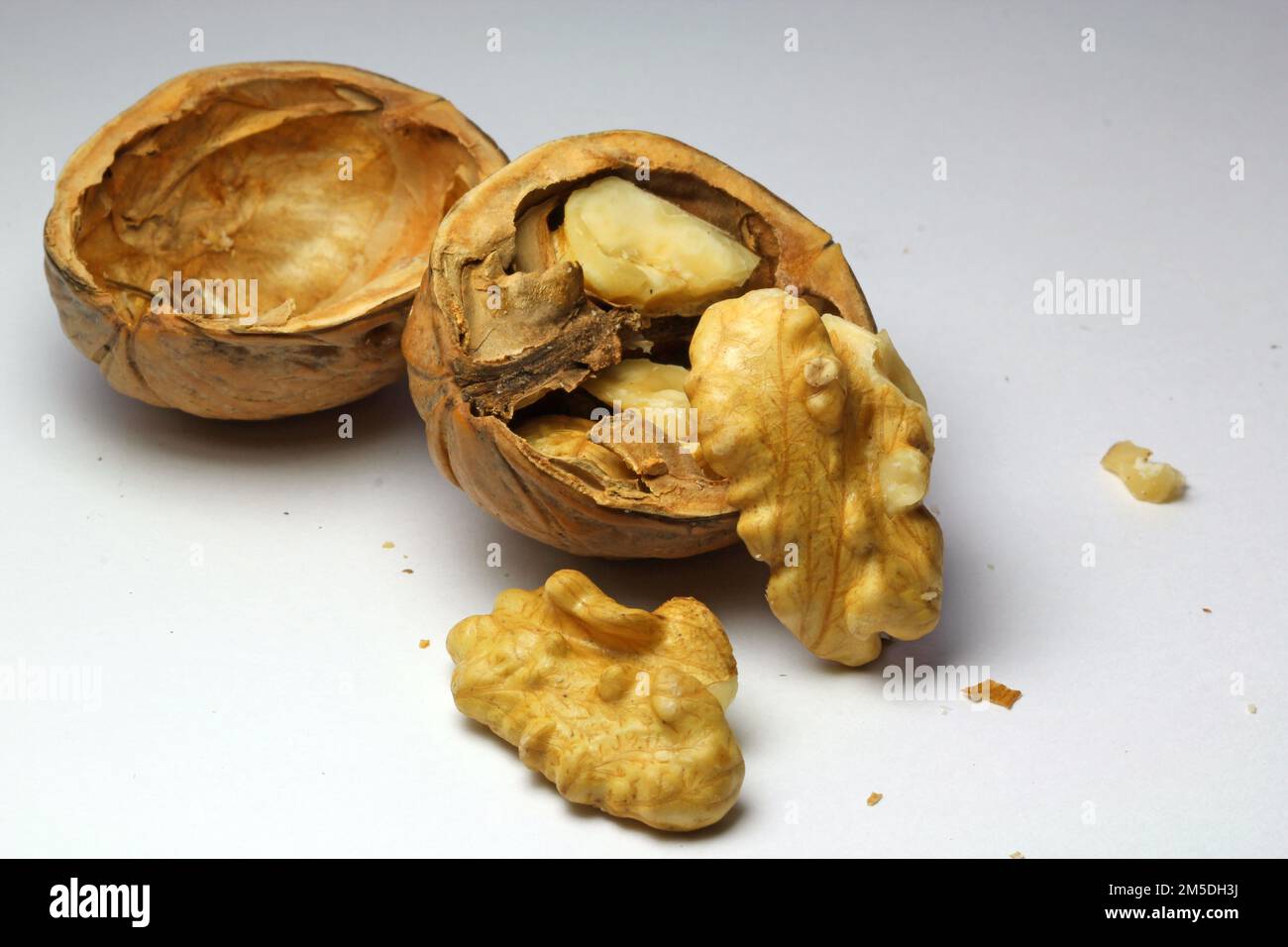 Close up of a walnut and open shell Stock Photo - Alamy