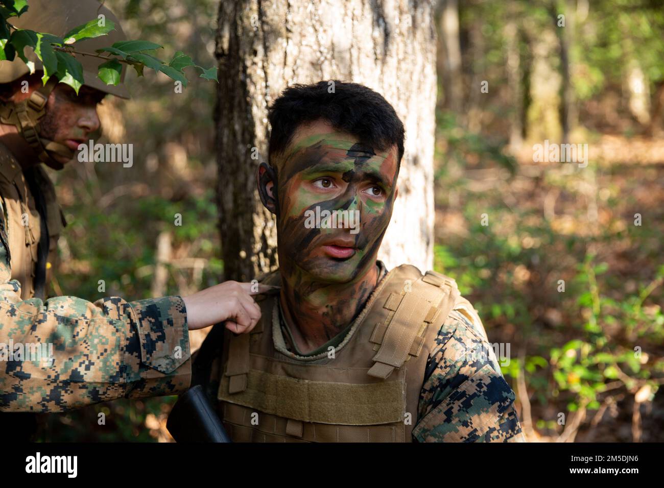 U.S. Marine Corps Pfc. Noah Reynard receiving camouflage paint from U.S. Marine Corps Pfc. Kylie Webb, combat engineer students with Marine Corps Engineer School, during the third phase evaluation on Marine Corps Camp Lejeune, North Carolina, March 4, 2022. Combat engineers conduct a variety of tasks, including building structures, engineer reconnaissance, emplacing obstacle systems and conducting breaching operations as part of the 21st century basic combat engineer course. Stock Photo