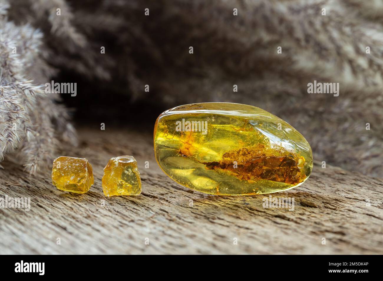 Amber-like Yellow Copal with Rosin Mineralized Stones Samples on Wooden Background Stock Photo