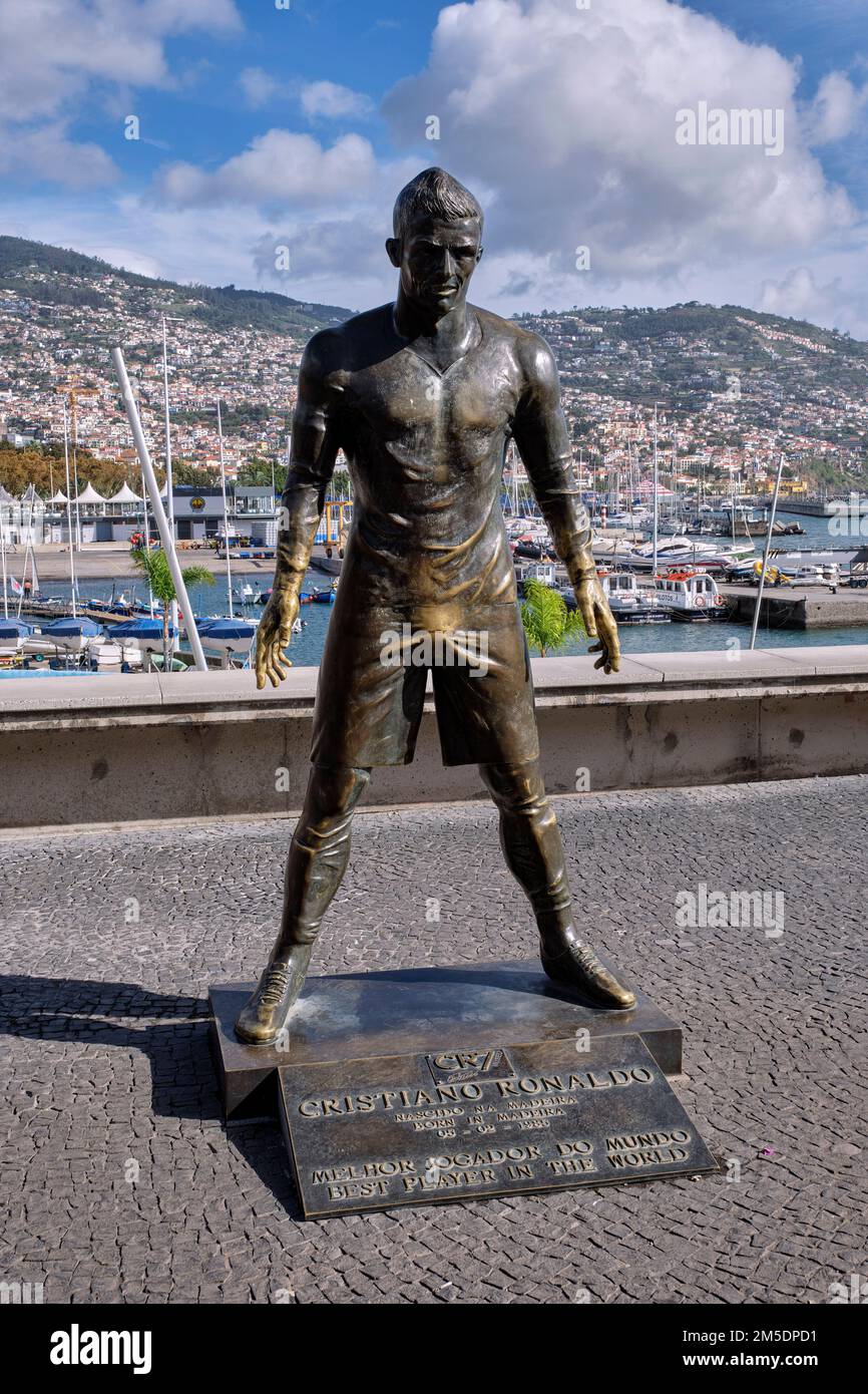 bears military sweatshirt