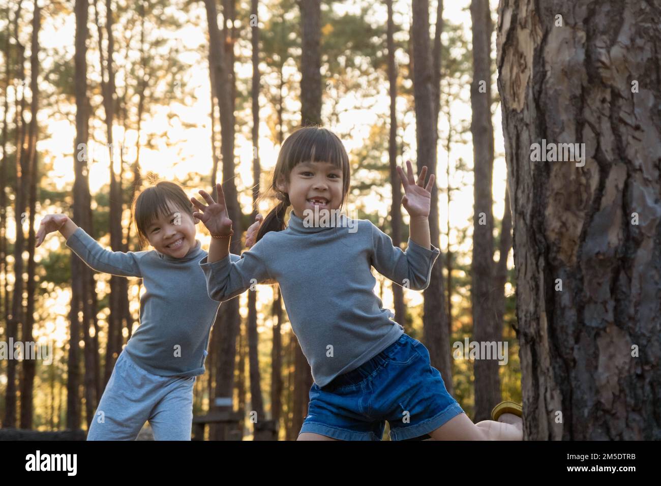 Funny little sisters peeking out from behind tree in winter park. Cute smiling child playing hide and seek in the forest. Children look into the camer Stock Photo