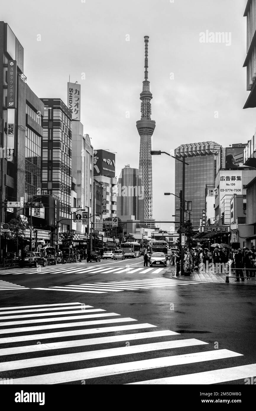 A vertical shot of the streets of Tokyo, Japan in grayscale