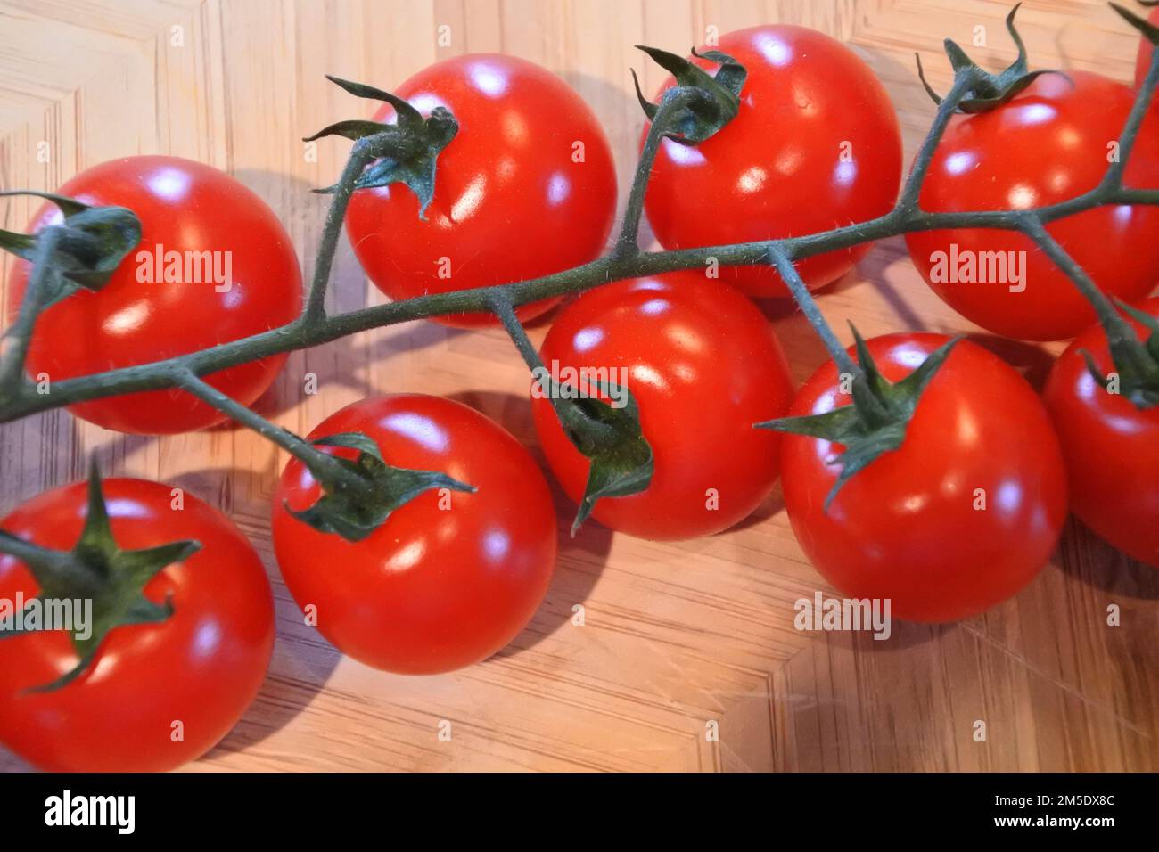 Close-up of vine ripened tomatoes - John Gollop Stock Photo