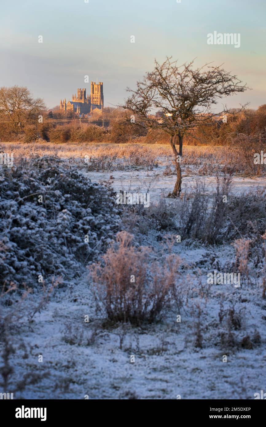 Ely Cathedral and ely country park, on a cold frosty morning, Ely