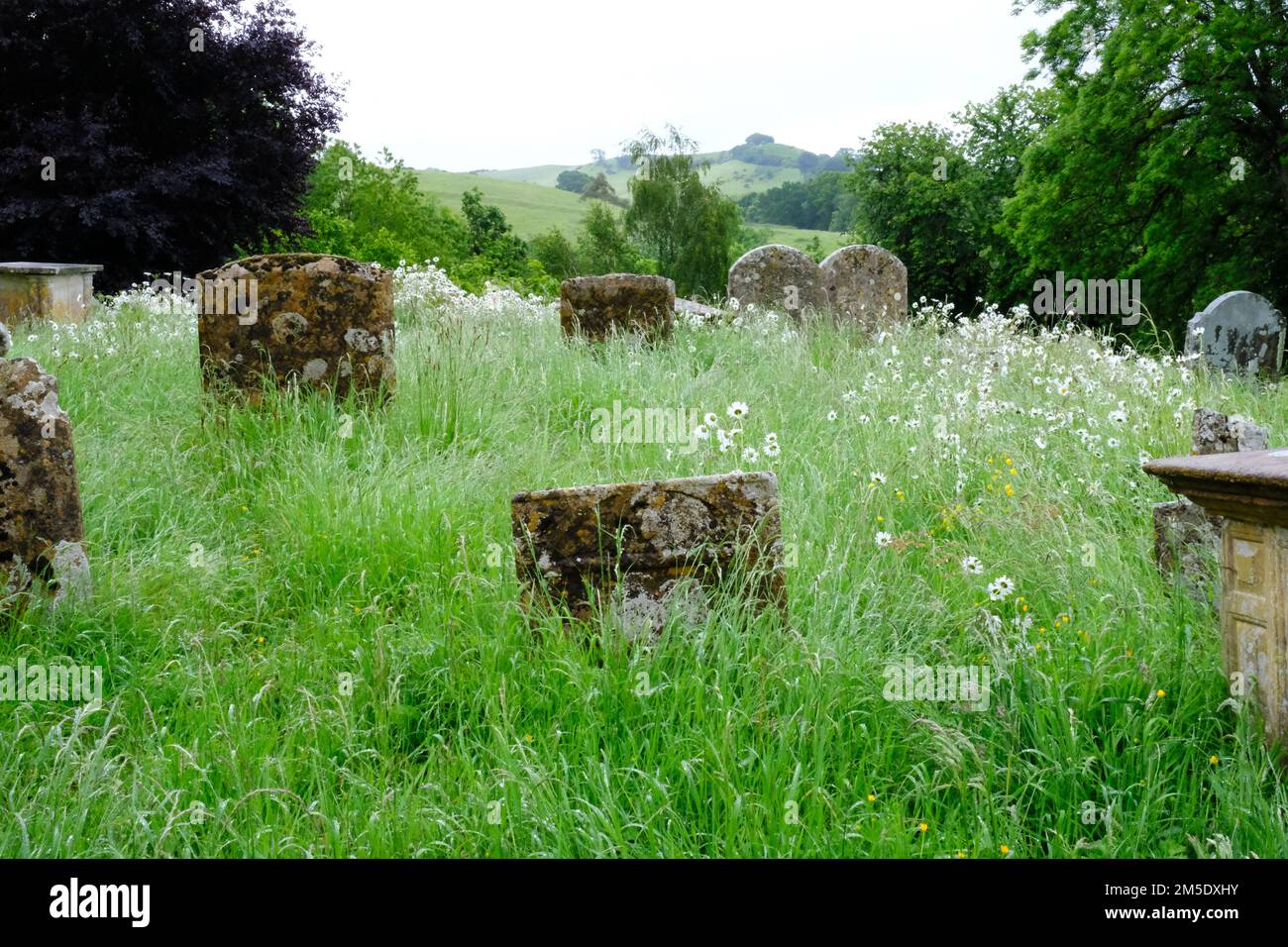 The churchyard at Netherbury parish church, Dorset, UK - John Gollop Stock Photo