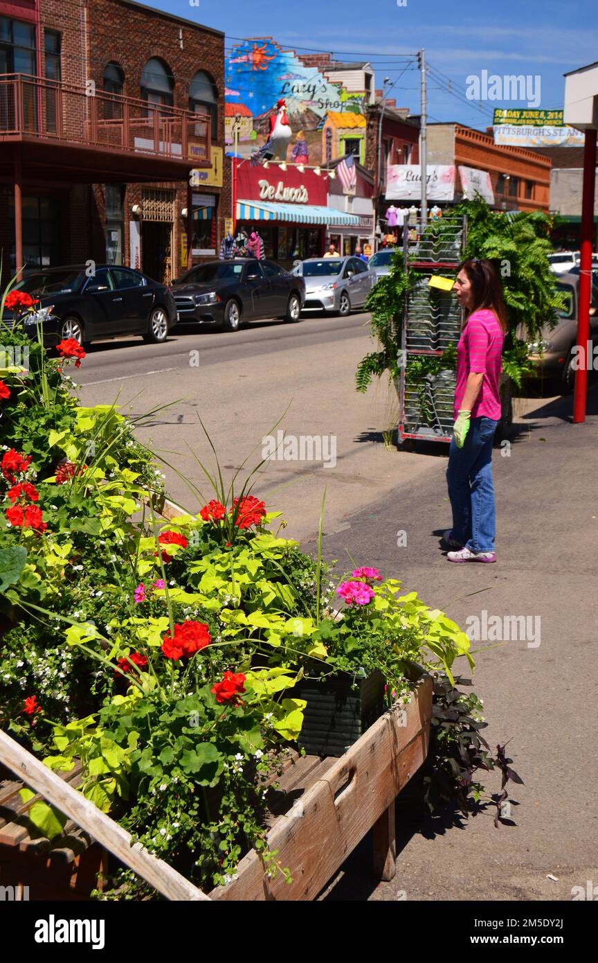 Flowers for sale at a boutique in The Strip District an area of stores and small businesses in Pittsburgh, Pennsylvania Stock Photo