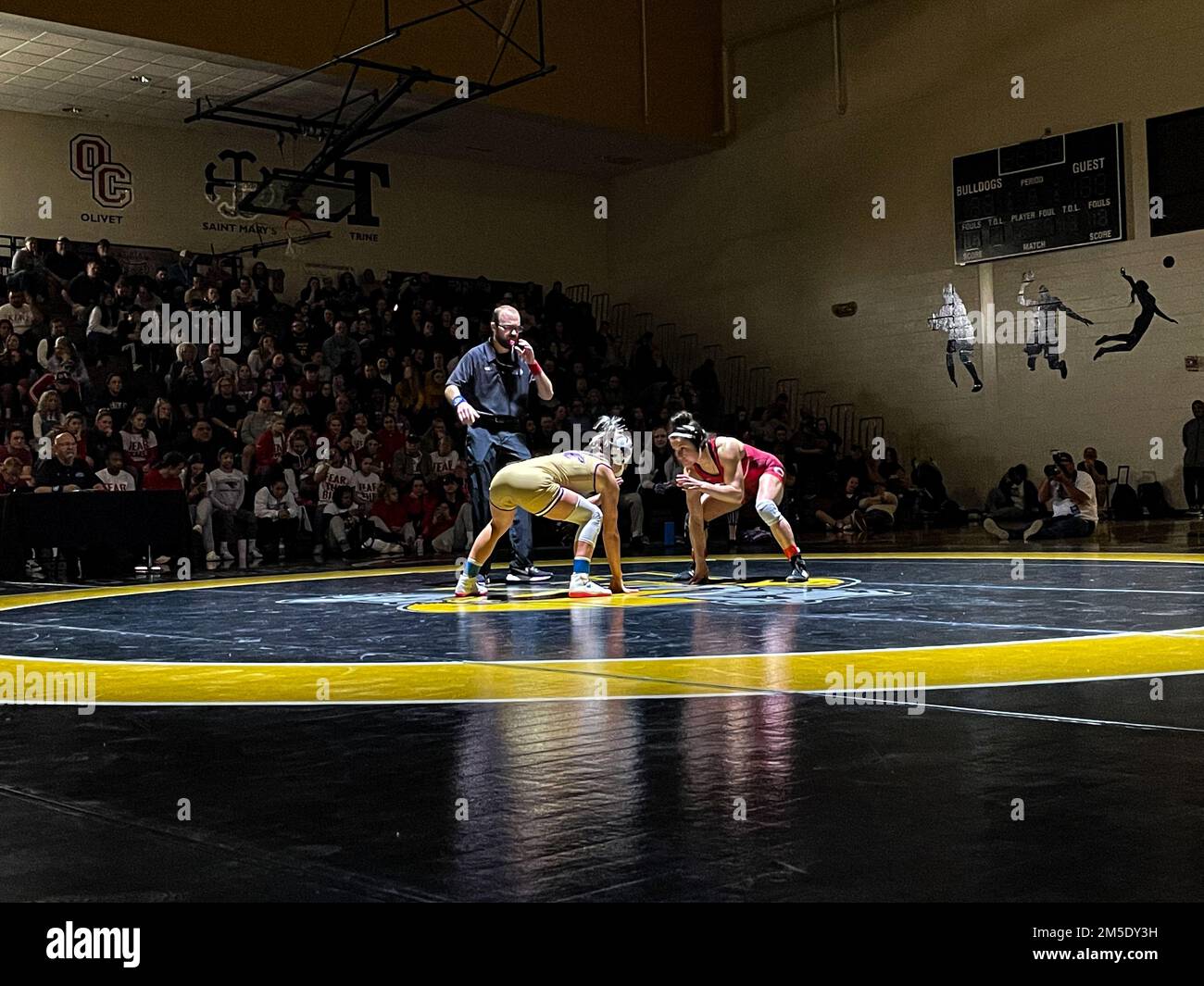 Women's college wrestling hires stock photography and images Alamy
