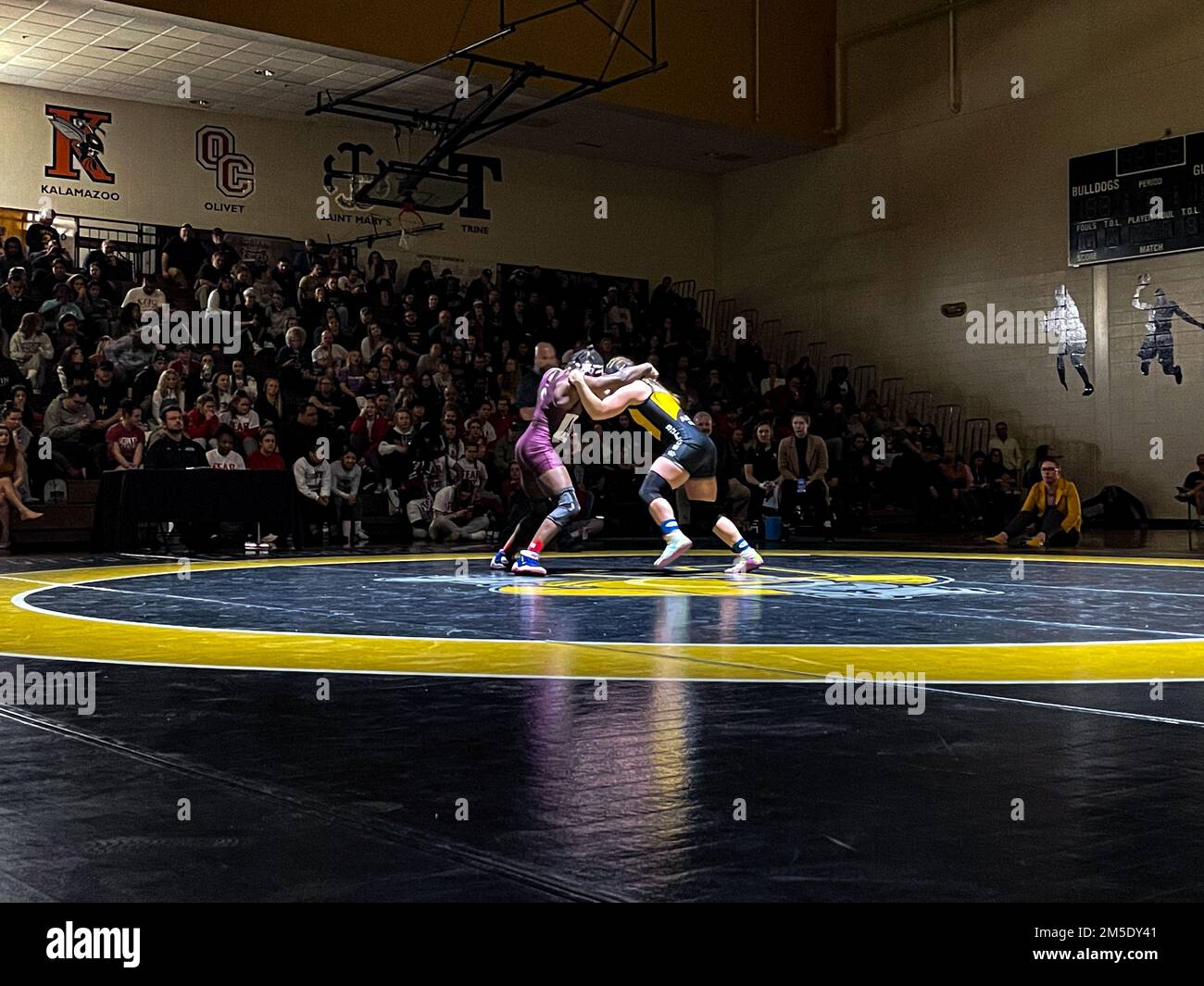 Women's college wrestling hires stock photography and images Alamy