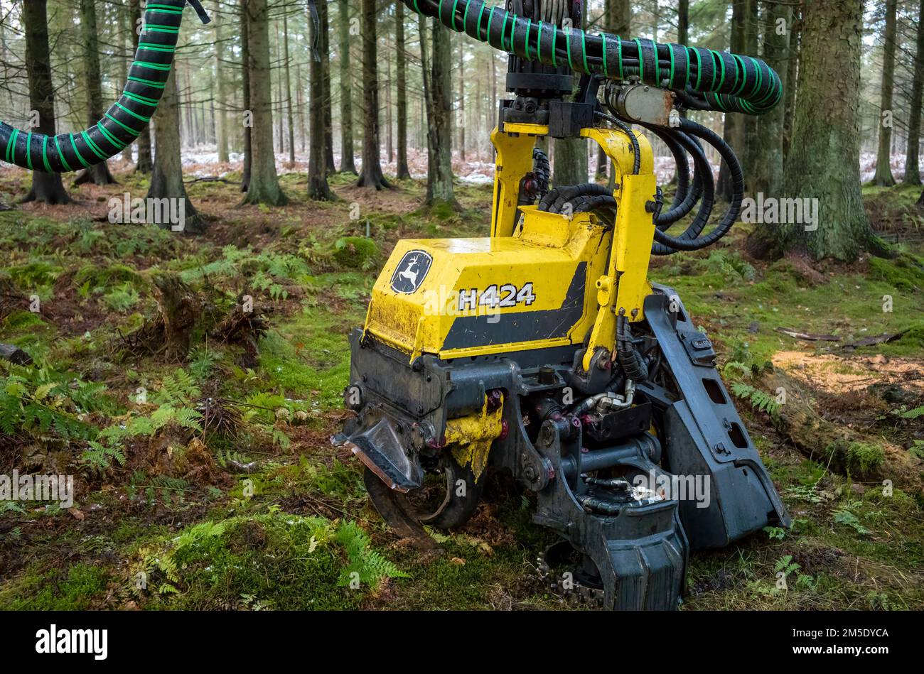 A versatile harvester head at rest in Beacon Wood, Penrith, Cumbria. Stock Photo