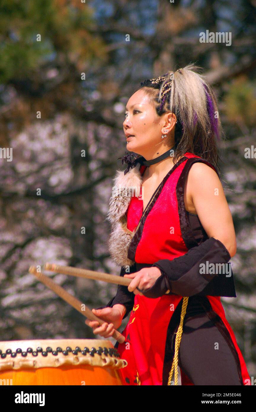 A young woman demonstrates the tradition art of Japanese Taiko Drumming during a cherry blossom sakura festival on a sunny spring day Stock Photo