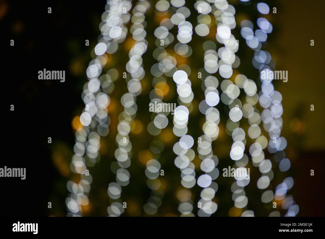 Blurred multicolored lights of a garland and branches of a Christmas tree in the foreground.Christmas and New Year background.Selective focus,copy spa Stock Photo