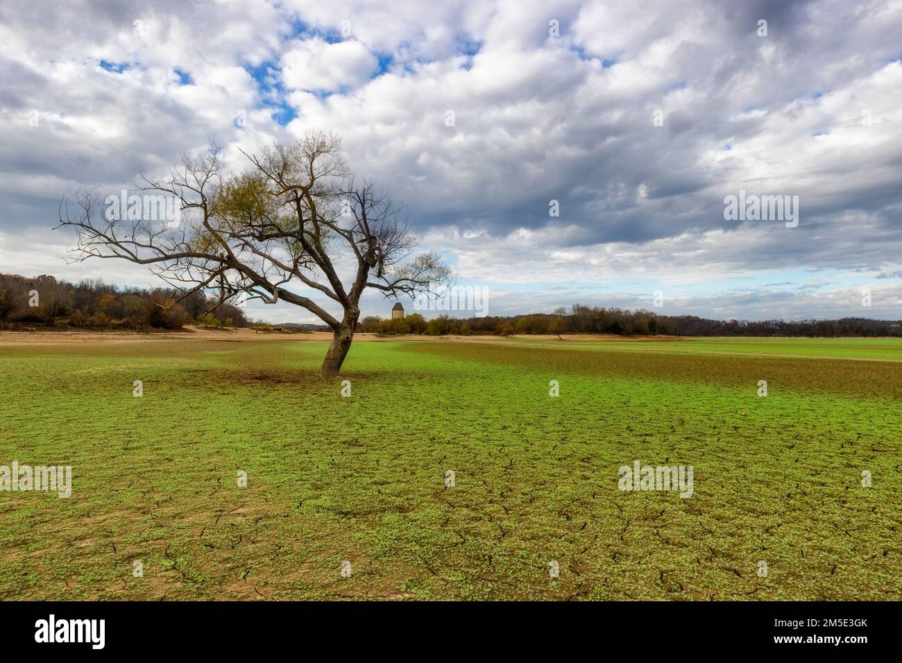 The lower of water levels in the fall leaves cracked mud flats with new