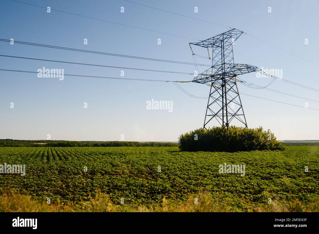 High voltage lines in the Ukrainian fields at the beginning of the war