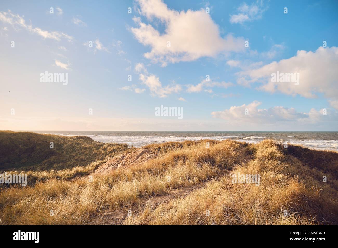 Grass Dunes in Denmark. High quality photo Stock Photo