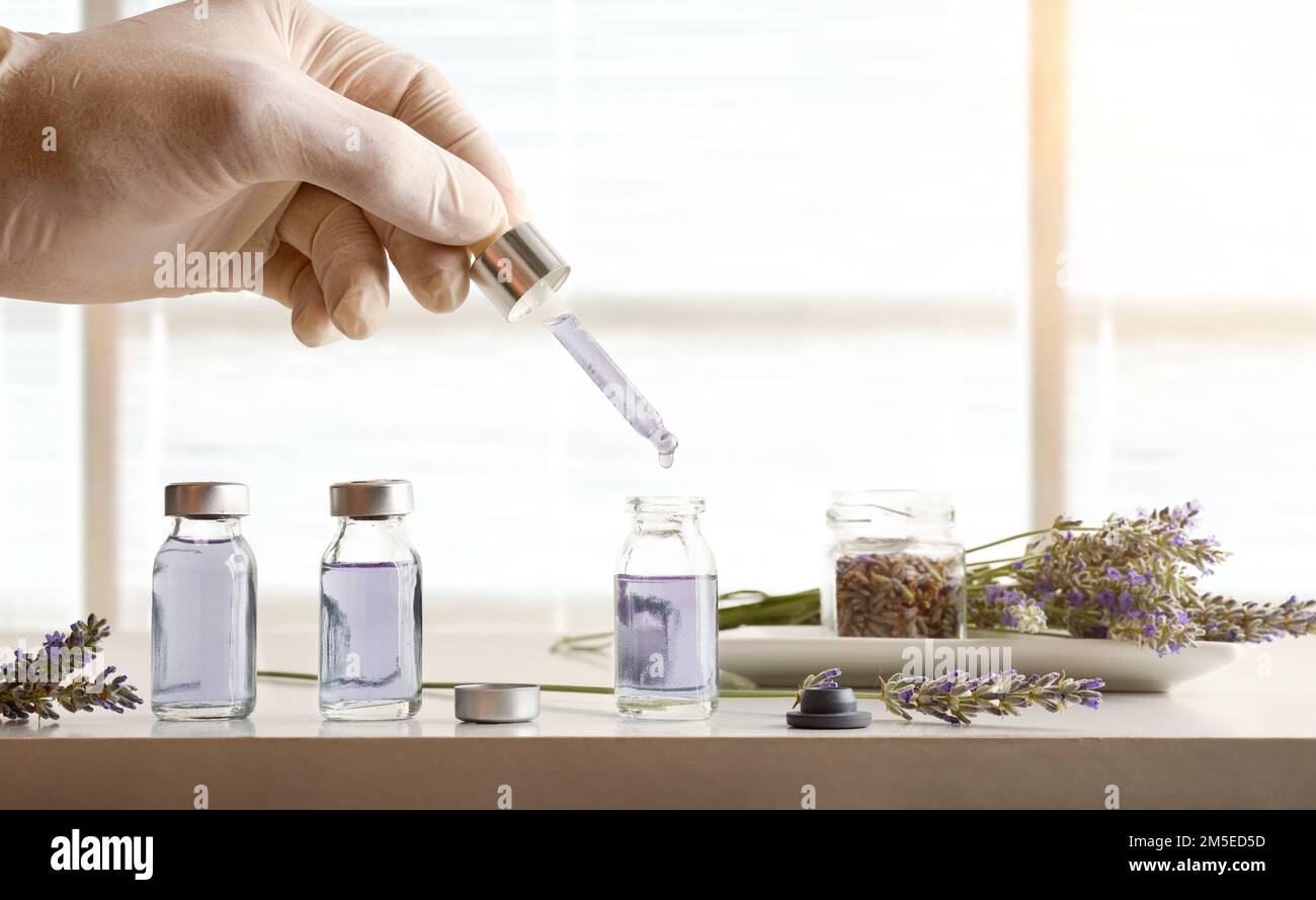 Professional filling vials with lavender essence preparation on a white laboratory bench and blinds in the background. Front view. Horizontal composit Stock Photo