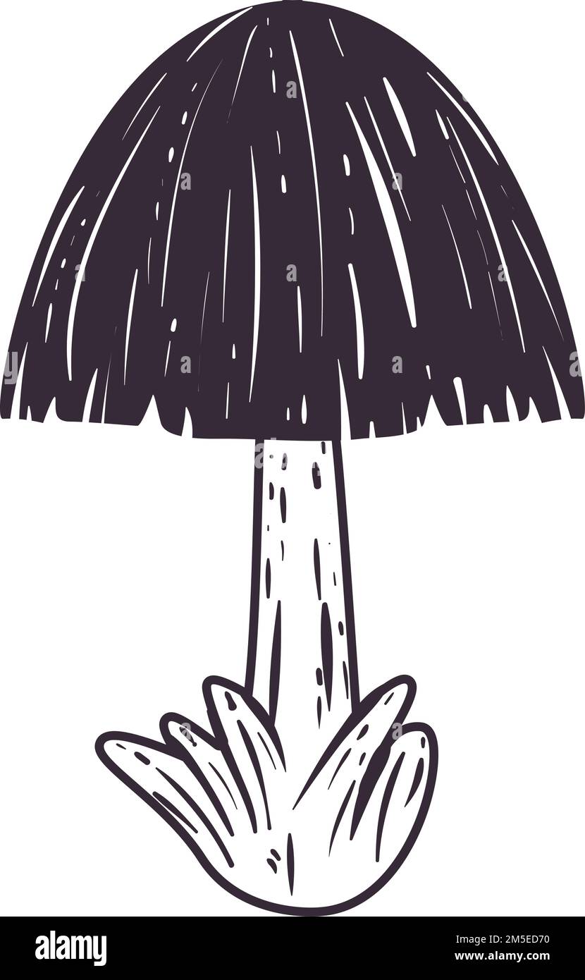 flat mushroom image Stock Vector Image & Art - Alamy