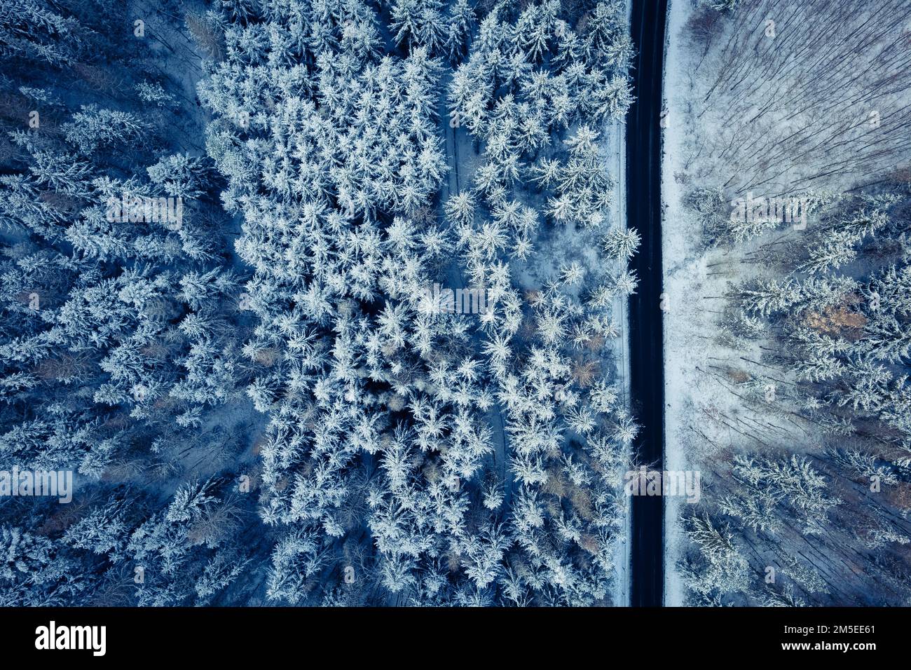 Aerial image of a winter landscape, winter forest trees covered with ...