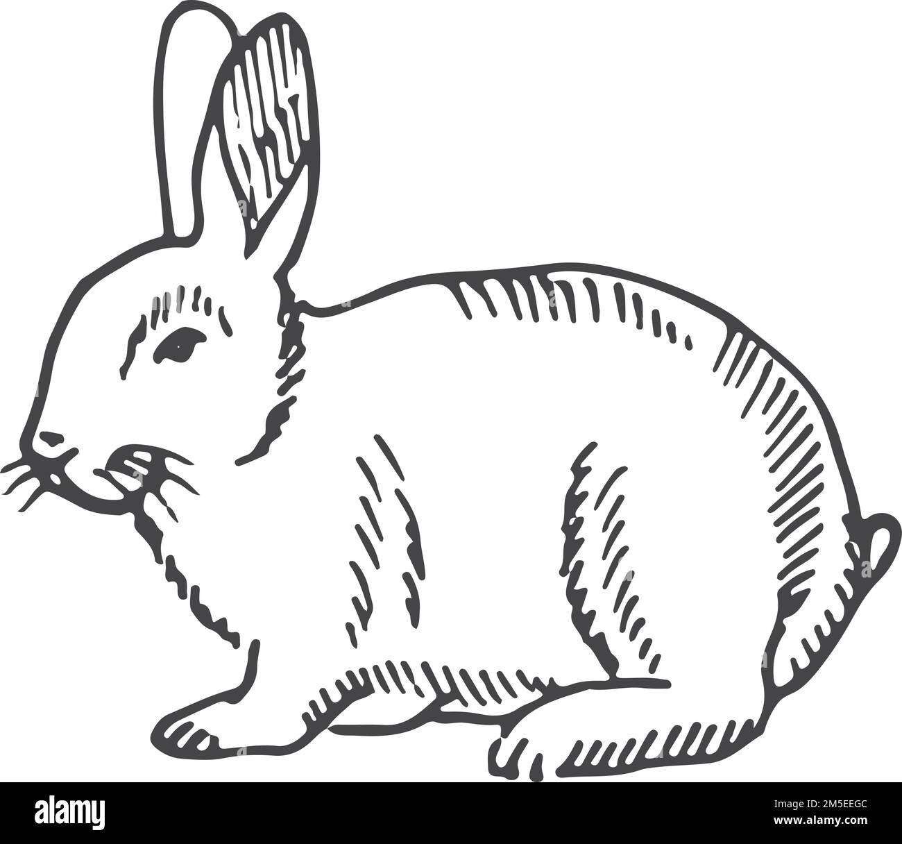 Rabbit sketch. Hand drawn bunny. Farm animal Stock Vector