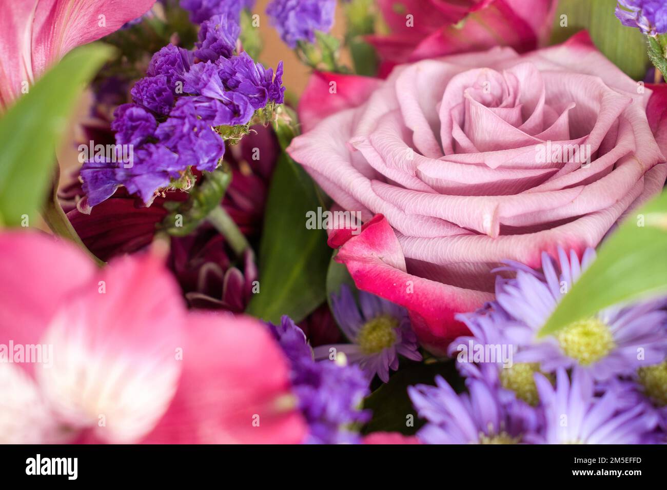 Pink rose in a bouquet of colorful flowers and green leaves Stock Photo ...