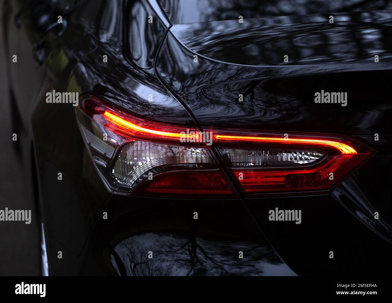 Sport car lights background, back light element. Modern car close view