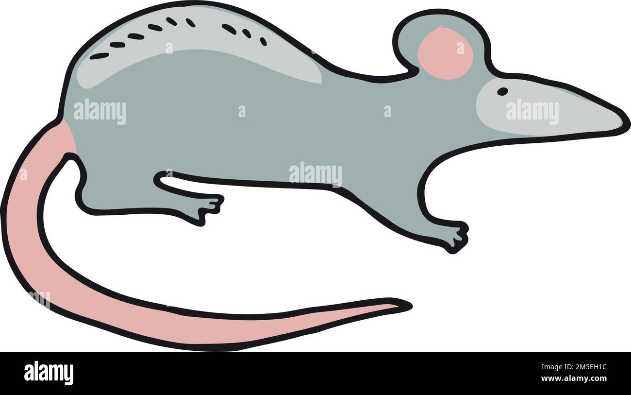 Mouse doodle icon. Rat symbol. Small animal Stock Vector Image & Art