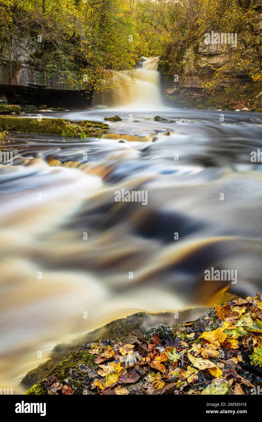 Wensleydale West Burton falls or Cauldron Falls with autumn colours Wensleydale Yorkshire Dales national park North Yorkshire England UK GB Europe Stock Photo