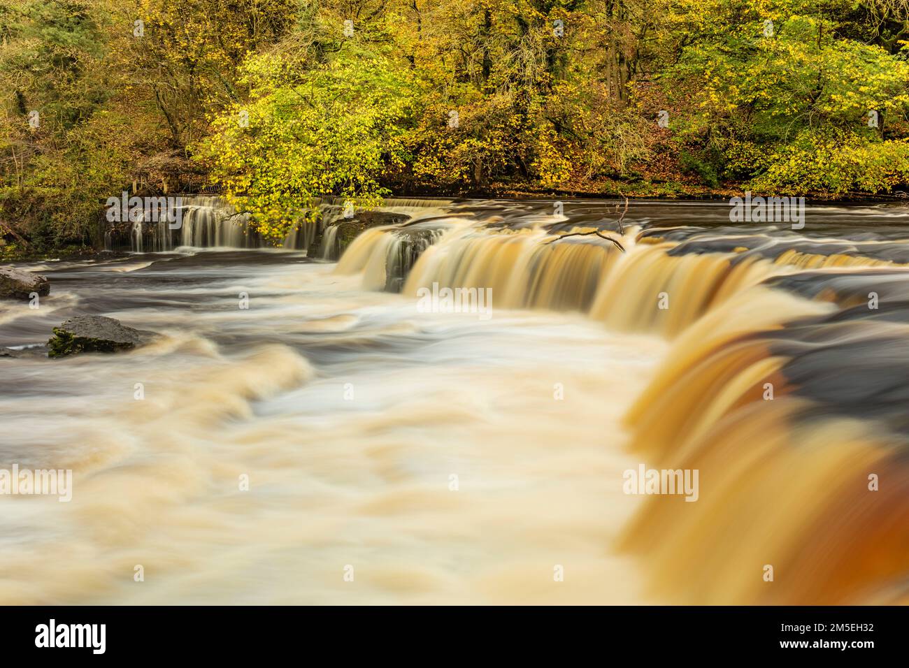 Yorkshire Dales National park Upper Aysgarth falls on the River Ure with autumn colours Wensleydale Yorkshire Dales North Yorkshire England UK GB Stock Photo