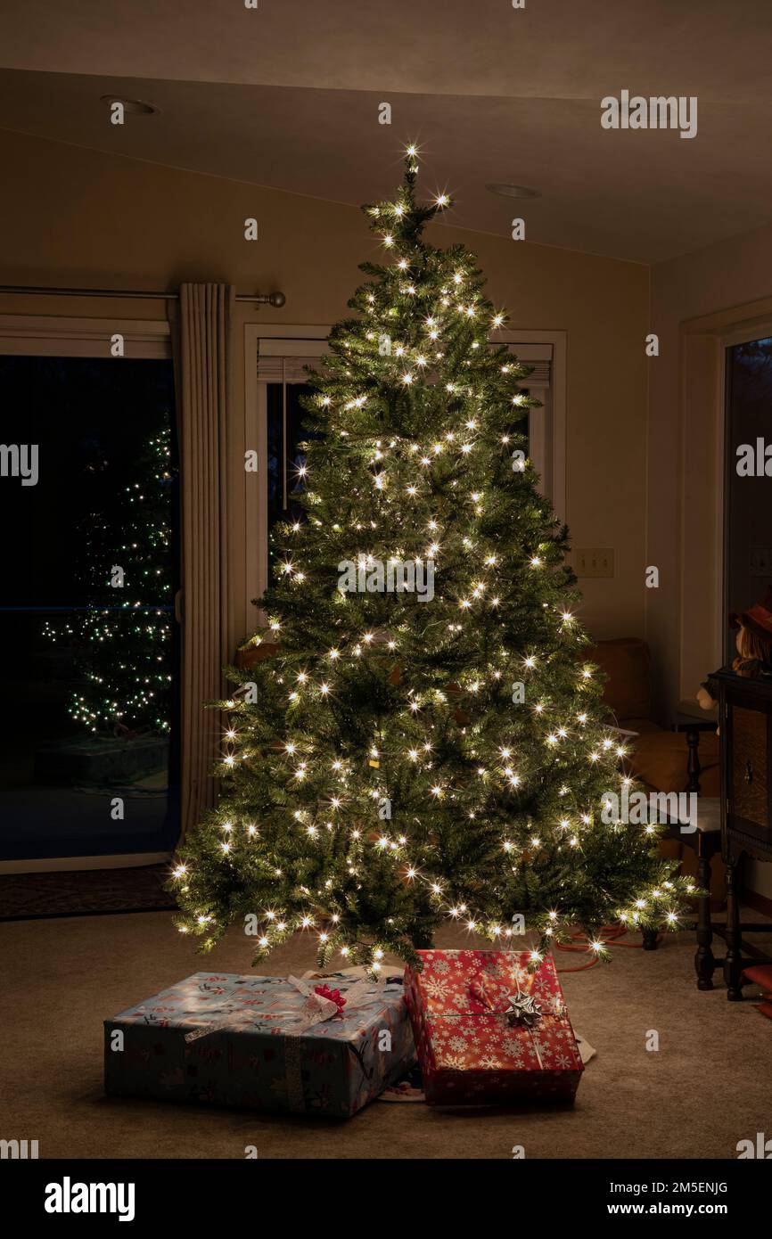 WA22841-00...WASHINGTON - Christmas tree and reflections. Stock Photo