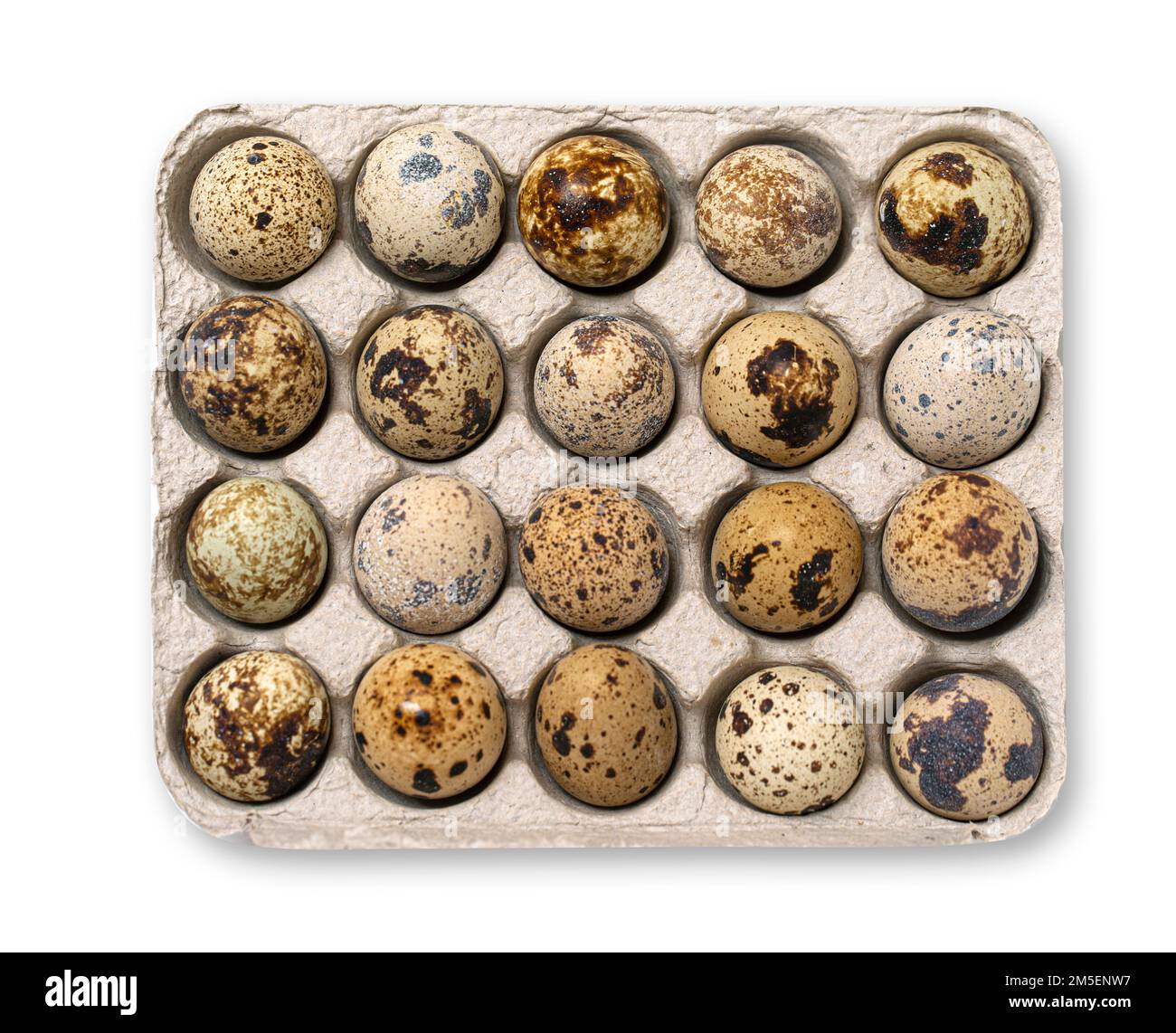 Quail eggs in cardboard packaging. Top view. Stock Photo