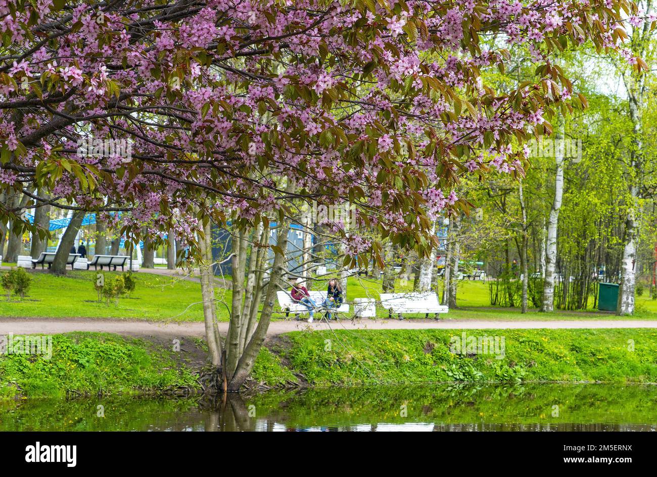 Japanese stone lantern.Krestovsky Island. Saint Petersburg. Stock Photo