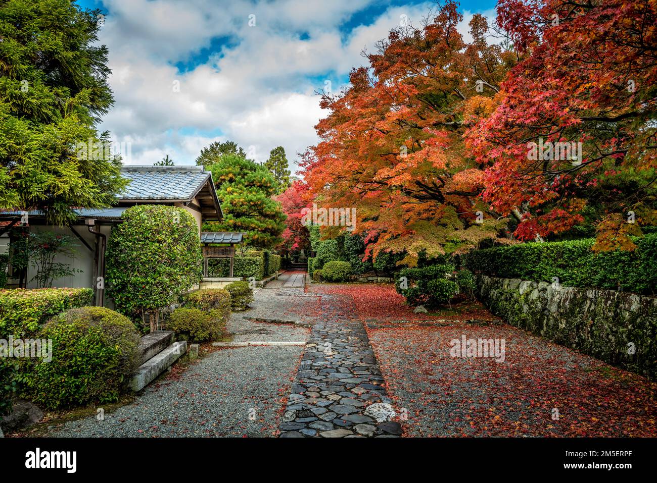 Temple grounds with Koyo in Kyoto  Japan Stock Photo
