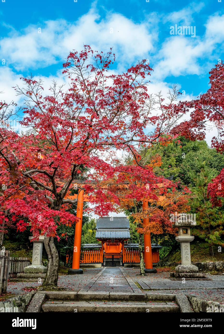 Torii gate at a temple entrance in Kyoto, Japan Stock Photo