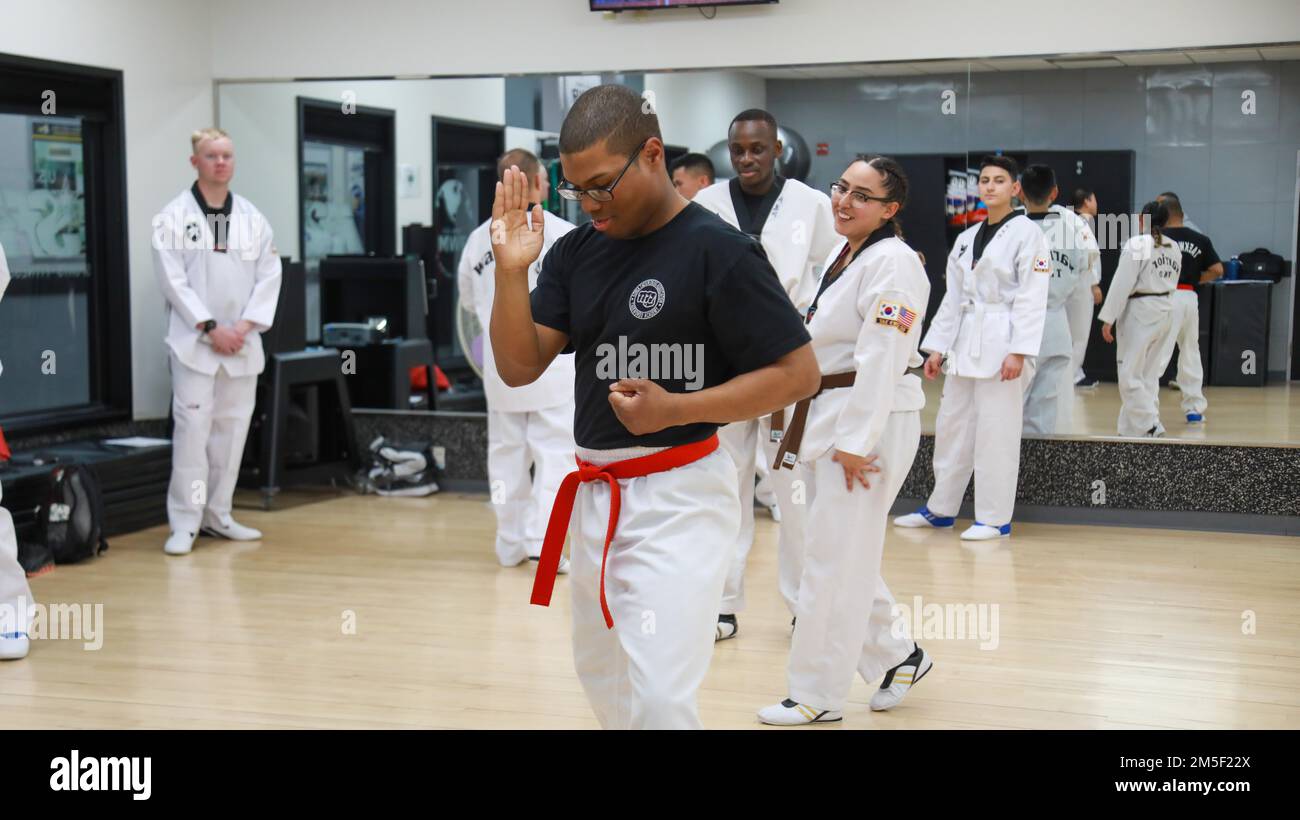Staff Sgt. Andre Stanley practices his Taekwondo forms at Camp Casey