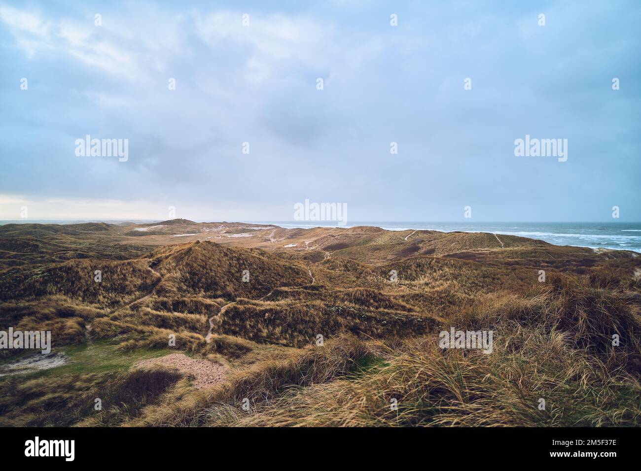 wide dune landscape in denmark. High quality photo Stock Photo
