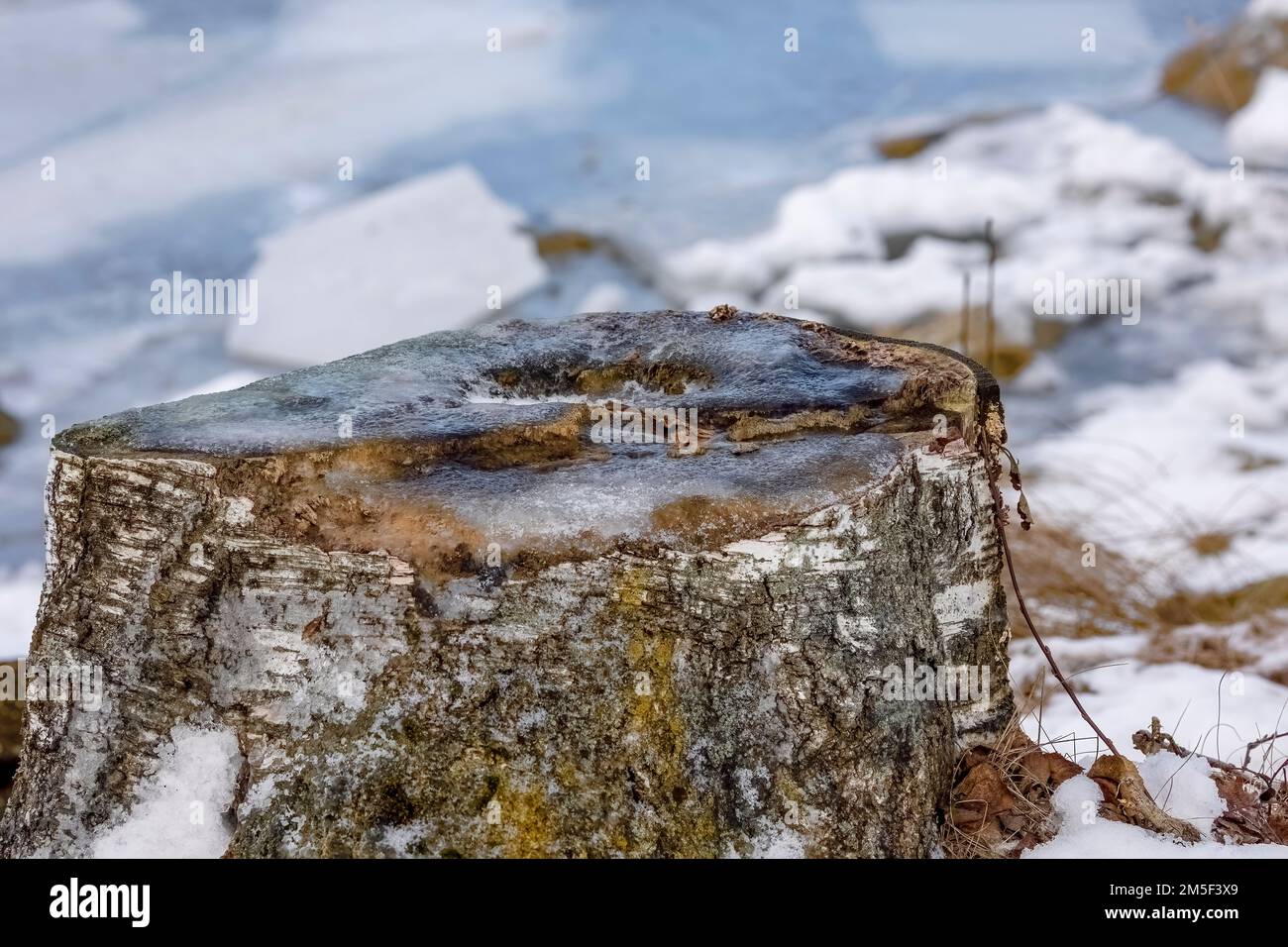 Nature creates really nice works of art in nature, especially with cold