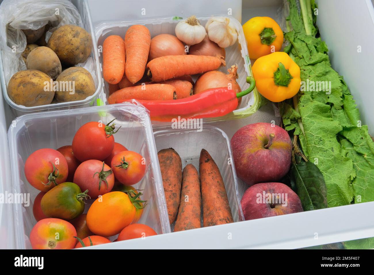 Various vegetables in containers in fridge. Gastronomy for cooking. Stock Photo