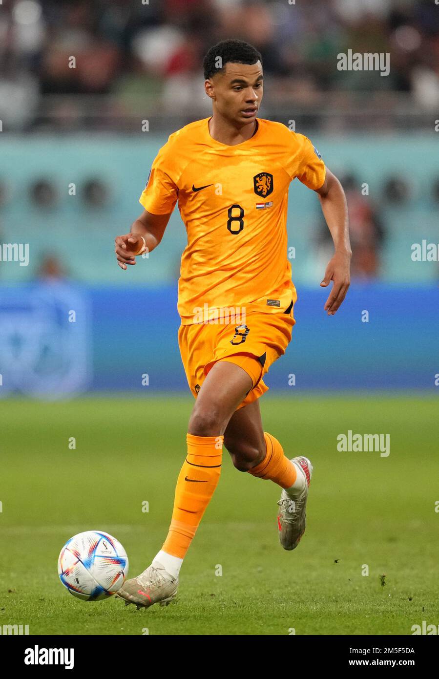 File photo dated 03-12-2022 of Netherlands' Cody Gakpo. Liverpool have announced the signing of PSV Eindhoven forward Cody Gakpo. Issue date: Wednesday December 28, 2022. Stock Photo