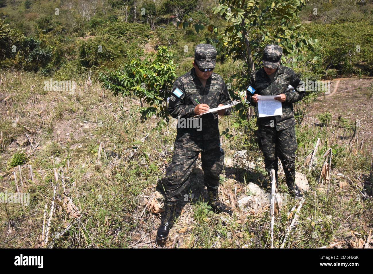 Honduran Army Cpl. Evenor Quintanilla and Infantry Soldier Maria Alvarenga, 120th Infantry Brigade, stand on a mount to collect information on impacts caused to cultural property at Ostuman, Copán, Honduras, March 10, 2022. During this exchange, partner nation forces learned basic methodologies, tools, and strategies, from U.S. military experts, on how to observe, identify, classify and document sites or artifacts of cultural value to assist in their protection. Stock Photo