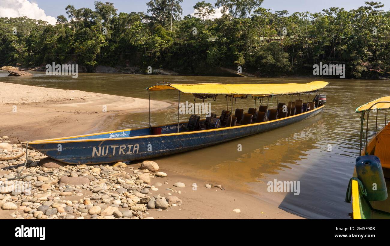 River canoes to go through the Amazon jungle to an indigenous tribe in