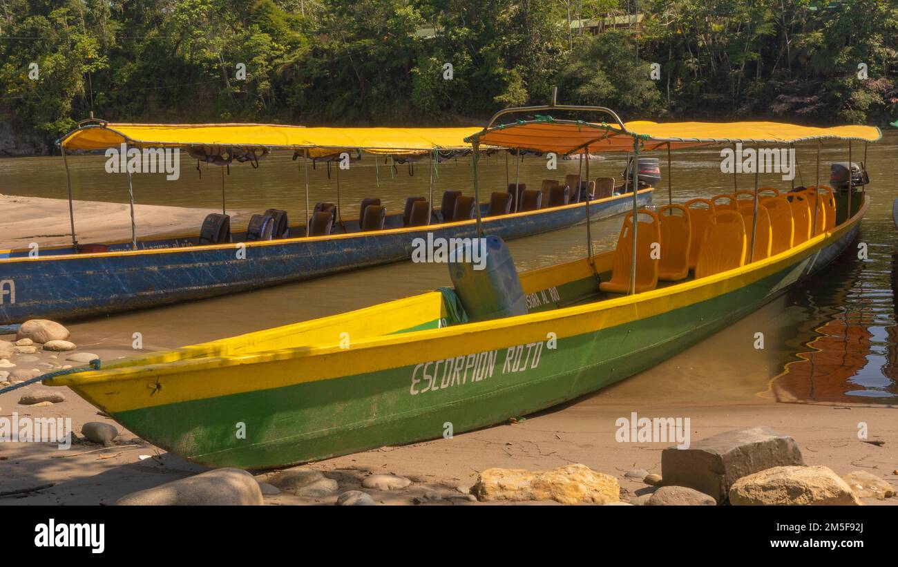 River canoes to go through the Amazon jungle to an indigenous tribe in