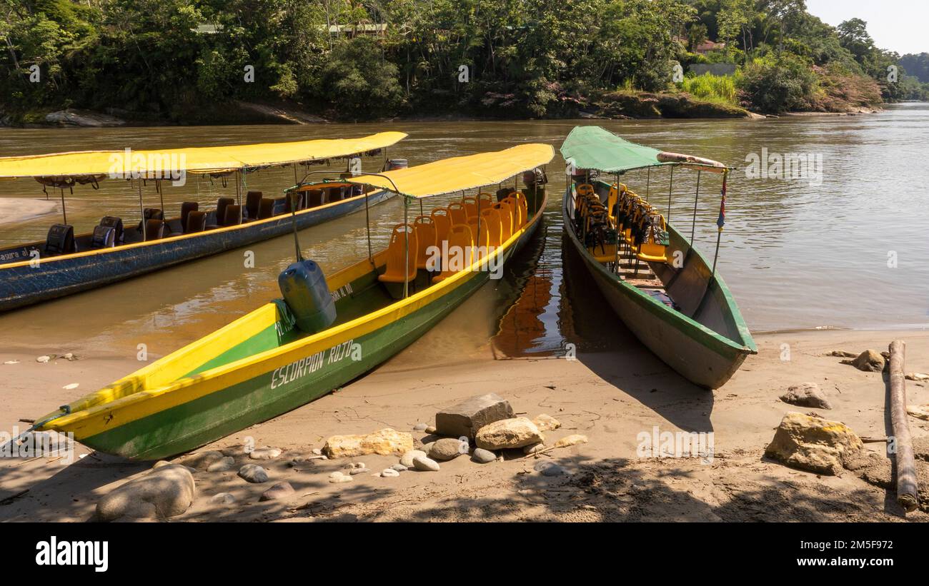 River canoes to go through the Amazon jungle to an indigenous tribe in