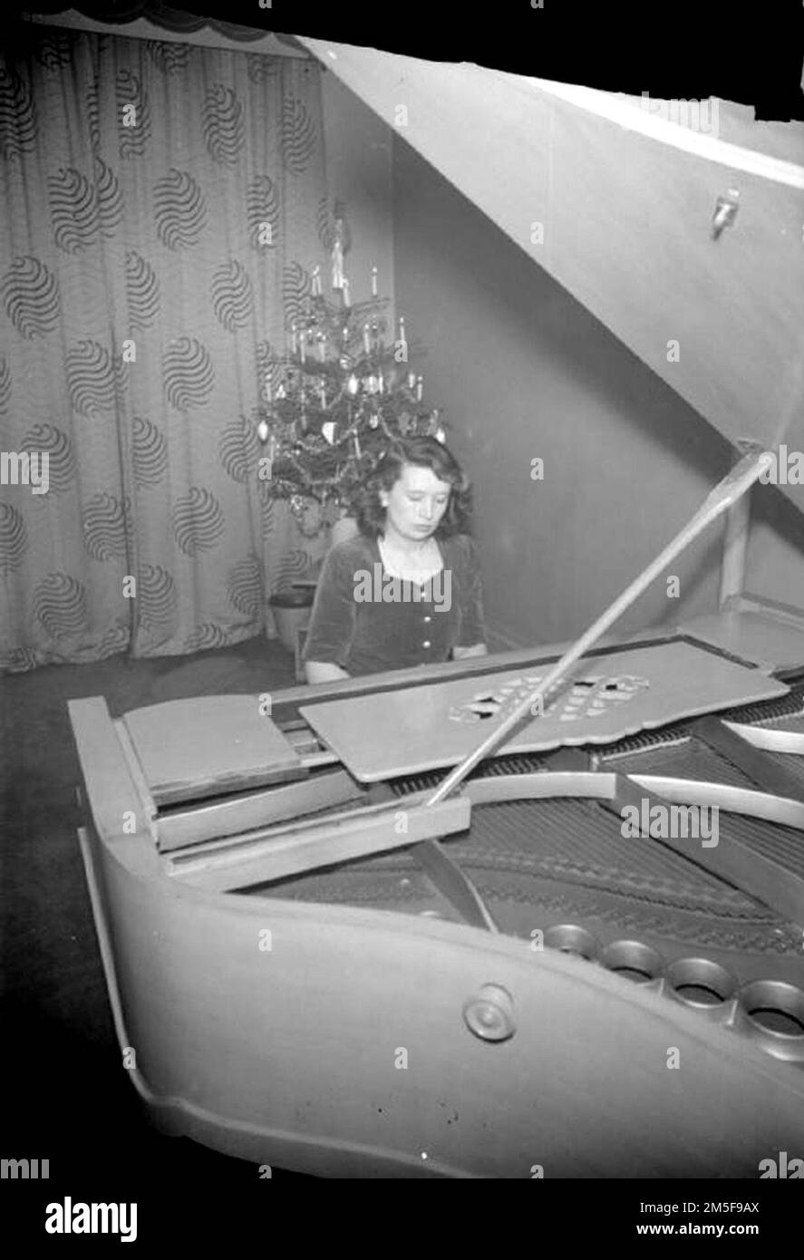 Dorothea Aspinall plays a grand piano at a small concert for American troops in a flat in Buckingham Gate, Westminster.  A Christmas tree decorated with candles can be clearly seen in the corner behind her. Stock Photo