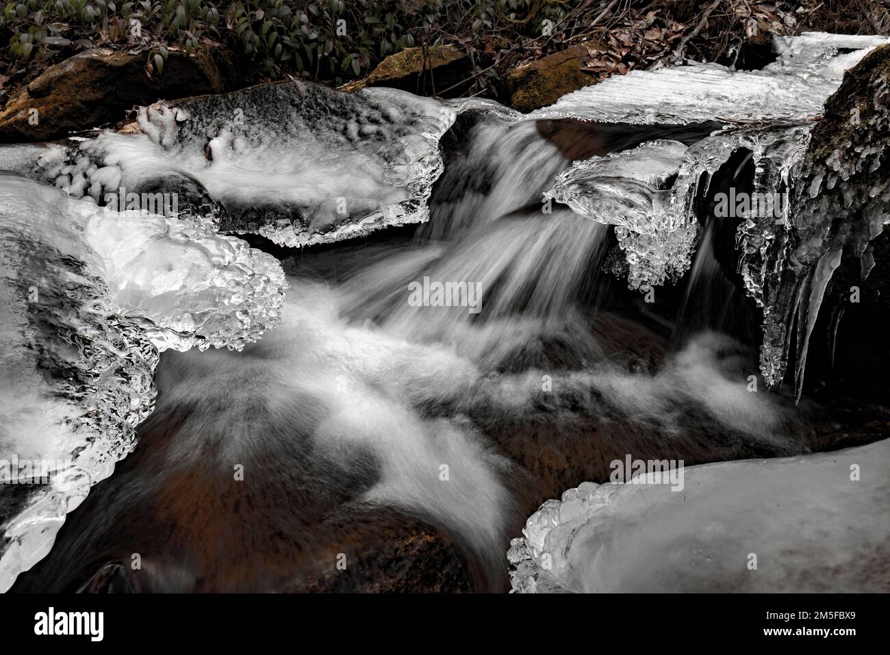 Cascade on Rockhouse Creek  in Winter - Pisgah National Forest, Brevard, North Carolina, USA Stock Photo