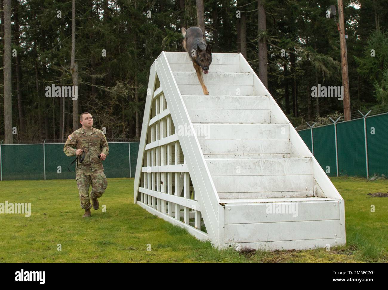 DOD/MWD K-9 Obstacle course