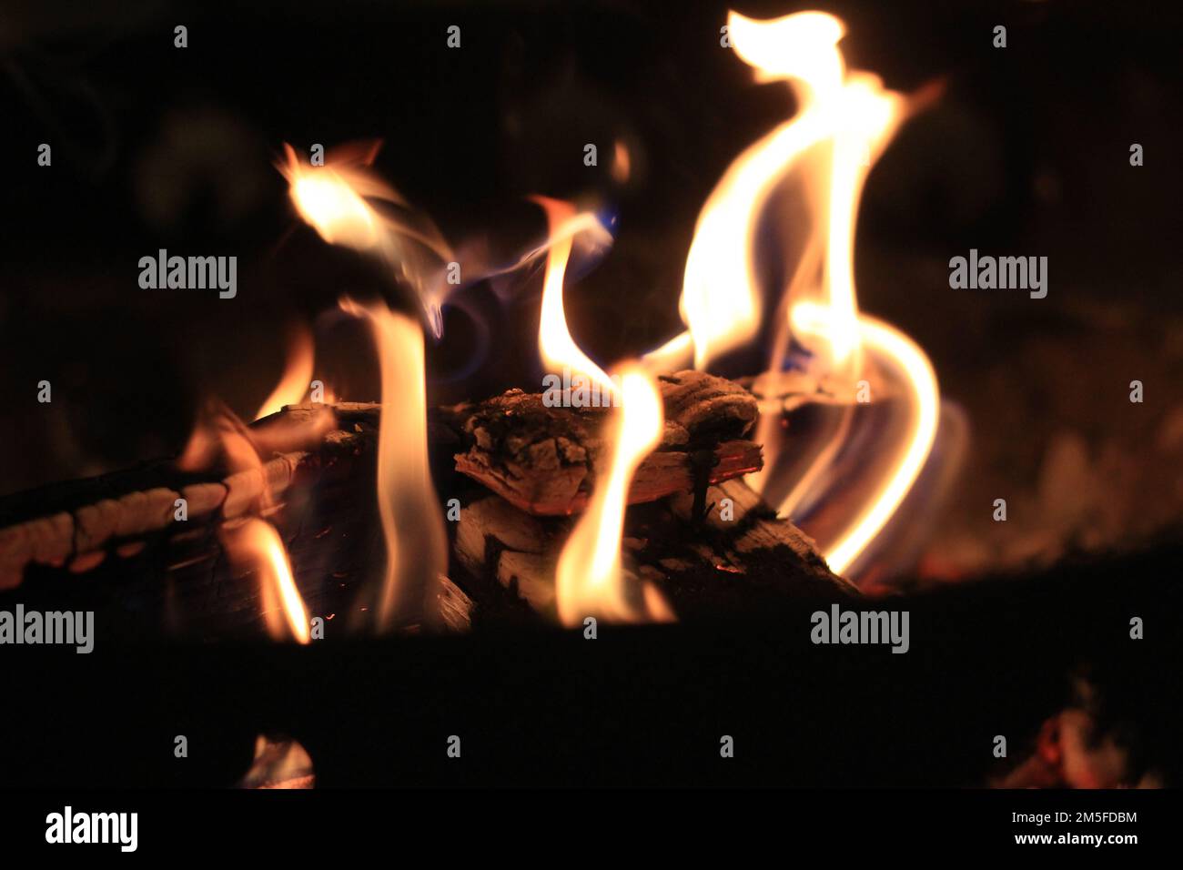 A closeup of a bonfire in a forest at night Stock Photo - Alamy