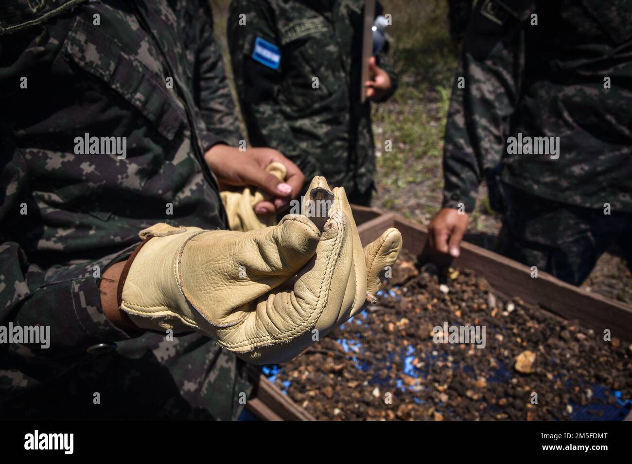 A Honduran soldier with the 120th Infantry Brigade shows a piece of obsidian found during a test pit survey at Las Mesas, Copan, Honduras, March 11, 2022. Joint Task Force-Bravo and the Civil Affairs and Psychological Operations Command partnered with the Honduran Army and Institute of Anthropology to assess cultural heritage sites impacted by natural disasters in Copan, Honduras, March 7-11. Stock Photo