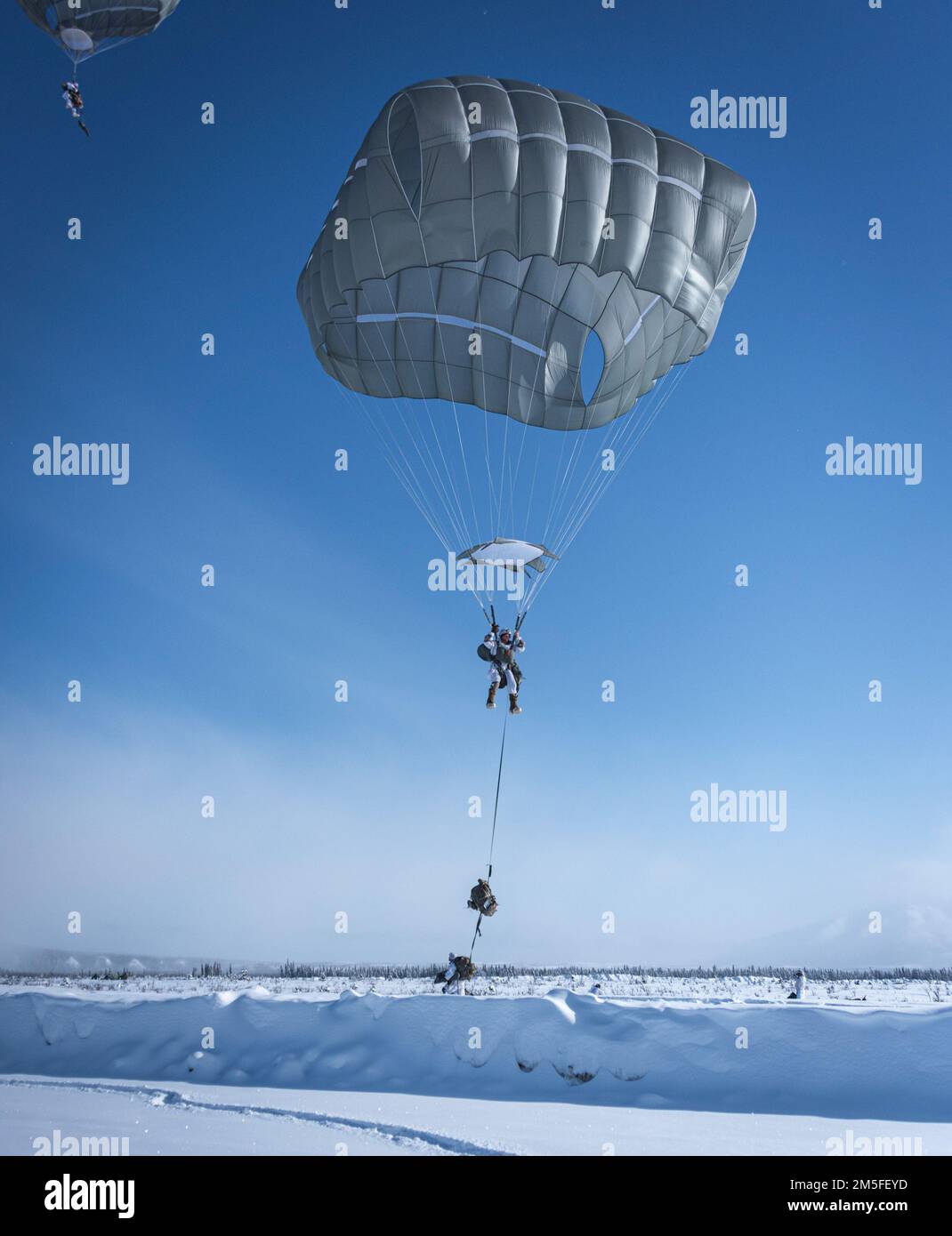 Soldier from United States Army Alaska along with members of the 3rd Battalion, Royal 22e Régiment Canadian Army parachute to the ground after jumping out of C-130 and C-17 aircraft over the training area of Fort Greely, AK during Joint Pacific Multinational Readiness Center 22-02 March 11, 2022. During JPMRC22-02 US Army Alaska joins with partner nations on multinational training exercises and interoperability as fundamental strategic and operational priorities to deter adversaries.   (Photo provided by Master Sailor Canadian Forces Combat Camera) Stock Photo