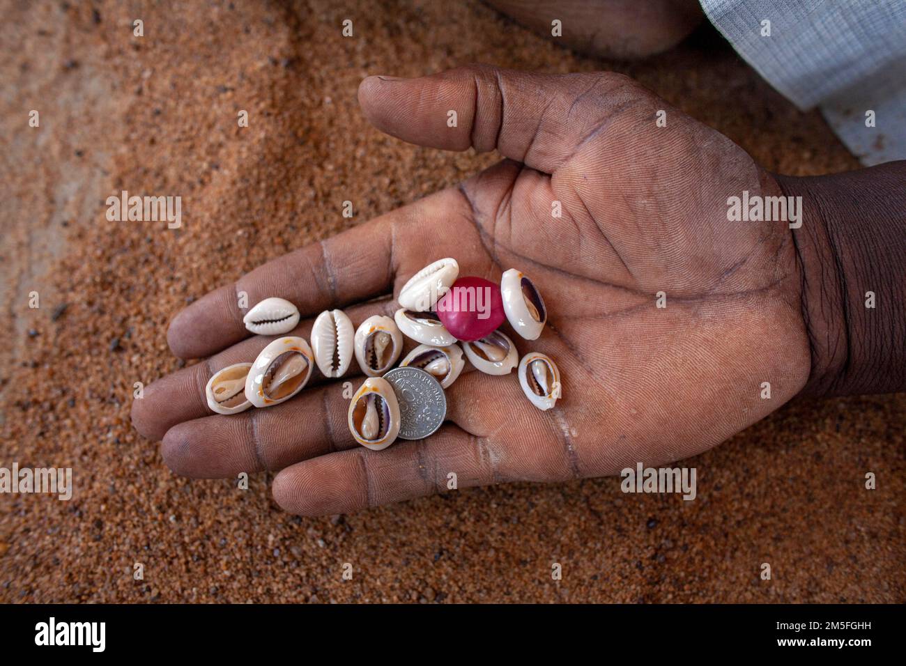 Cowrie shells are part of rituals in Africa. Cowrie shells became a popular tool in divination ceremonies. Stock Photo