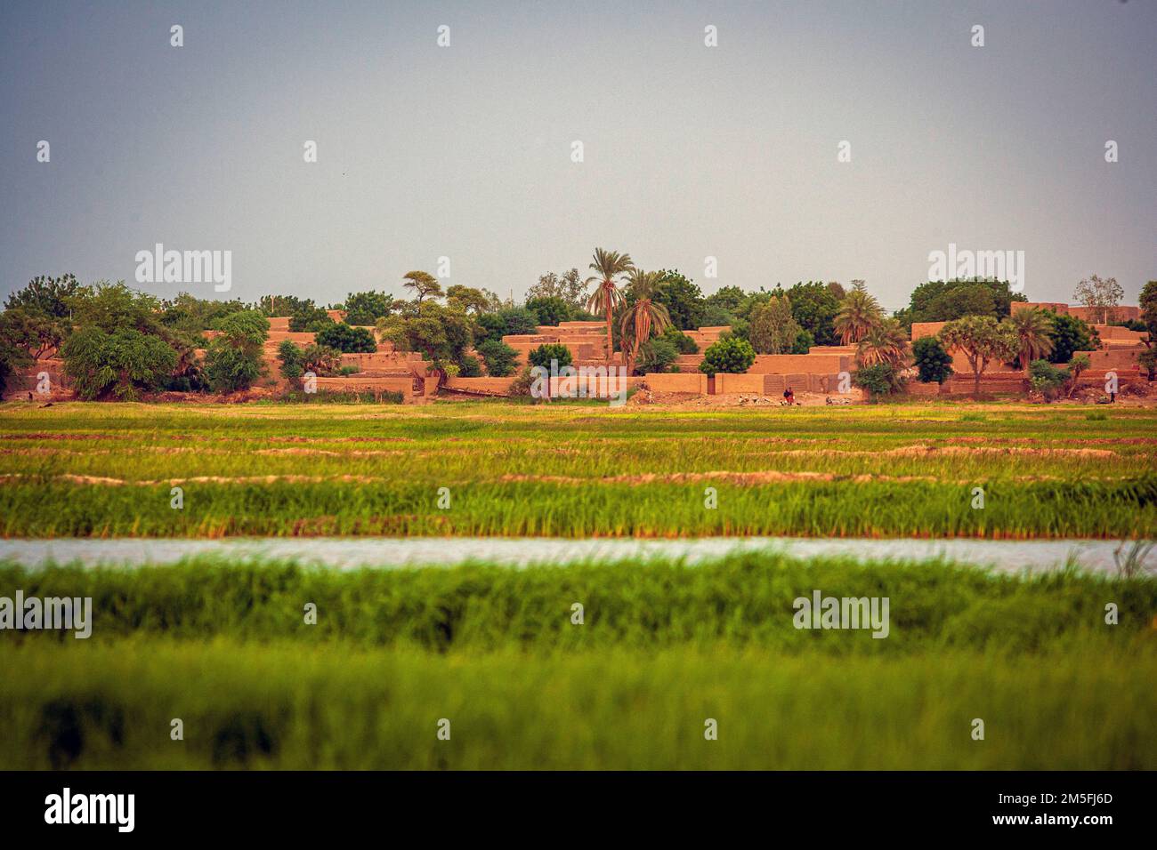 Mali Gao, View over Niger River and green rice field and small rural village. Stock Photo